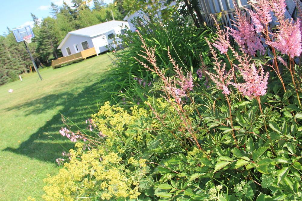 Hidden Acres Cottages Cavendish Exterior foto