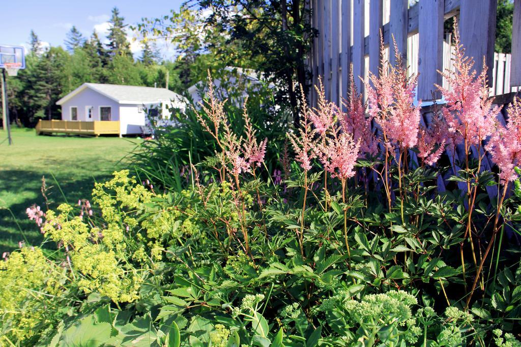 Hidden Acres Cottages Cavendish Exterior foto